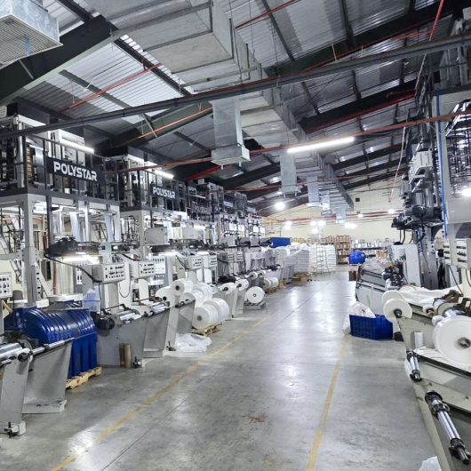 POLYSTAR twin-head blown film extruder lines operate in the Vietnamese factory